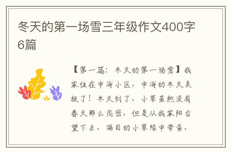 冬天的第一场雪三年级作文400字6篇