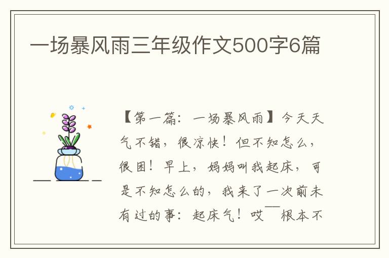 一场暴风雨三年级作文500字6篇