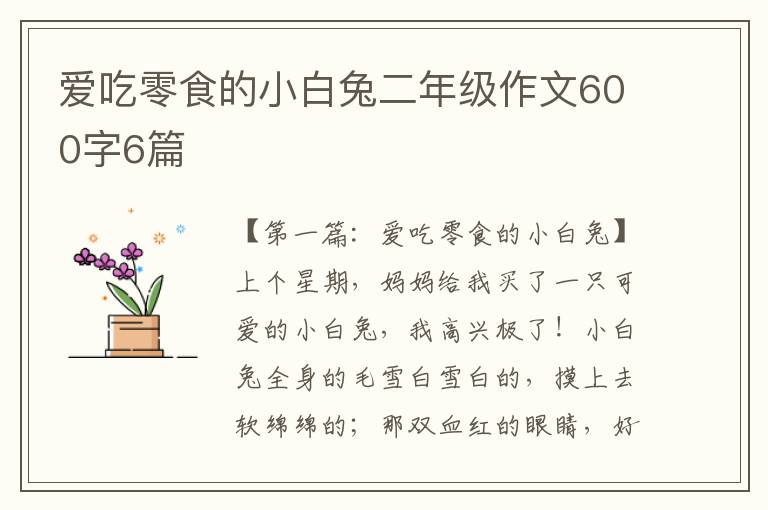 爱吃零食的小白兔二年级作文600字6篇