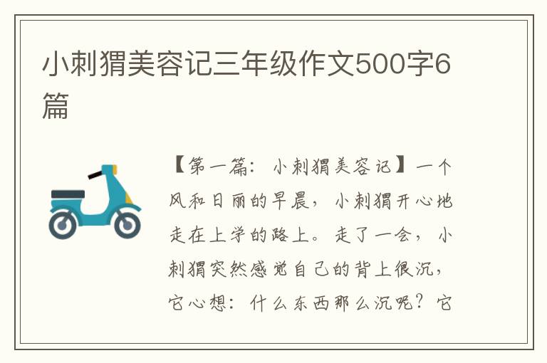 小刺猬美容记三年级作文500字6篇