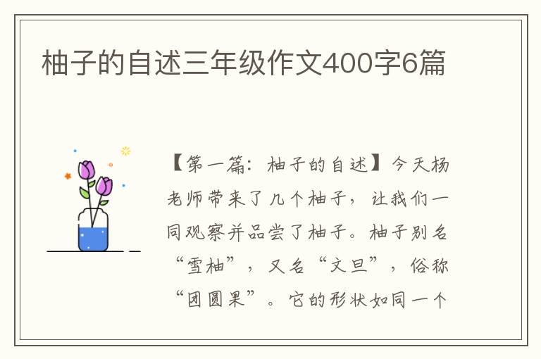 柚子的自述三年级作文400字6篇