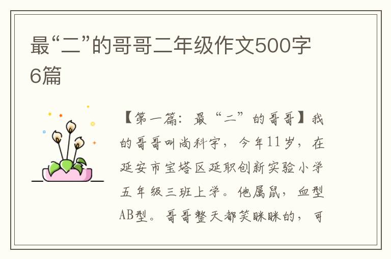 最“二”的哥哥二年级作文500字6篇