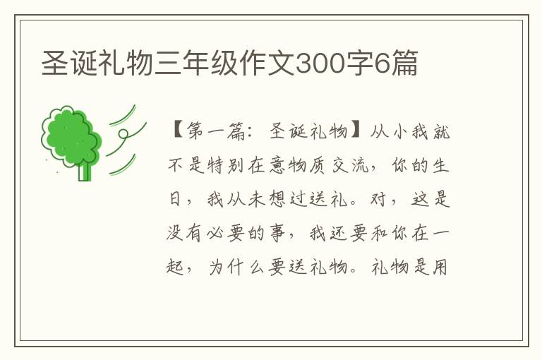 圣诞礼物三年级作文300字6篇