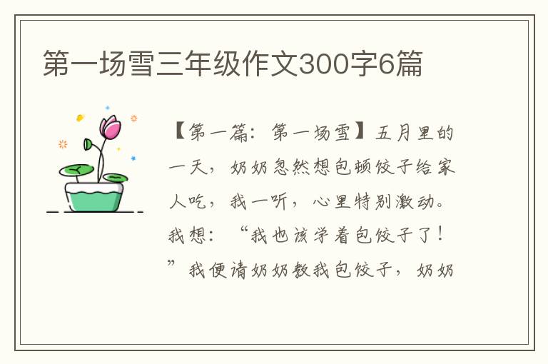 第一场雪三年级作文300字6篇