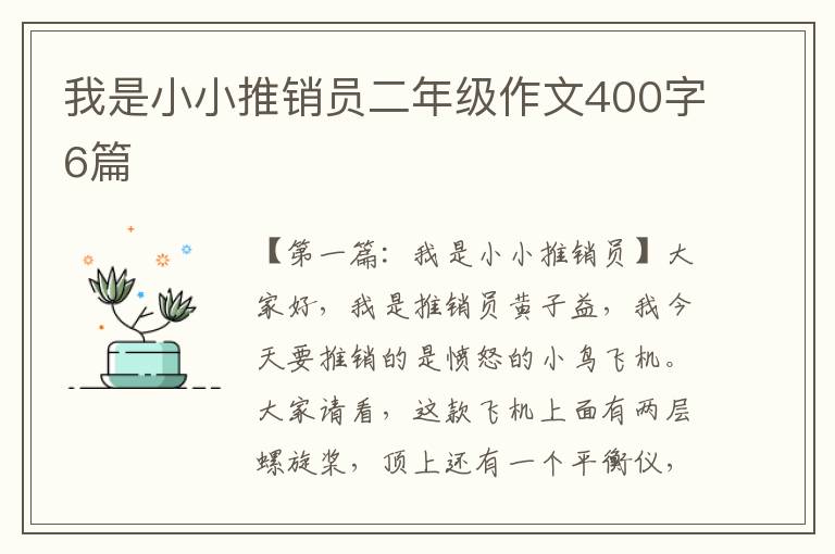 我是小小推销员二年级作文400字6篇