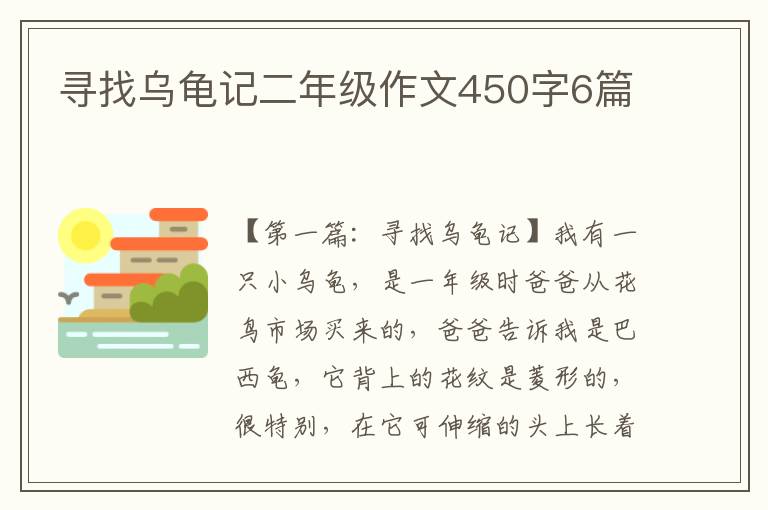 寻找乌龟记二年级作文450字6篇