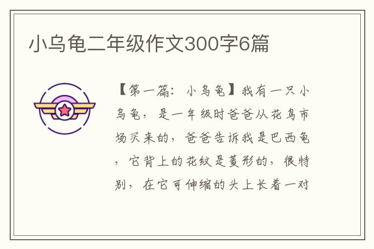 小乌龟二年级作文300字6篇