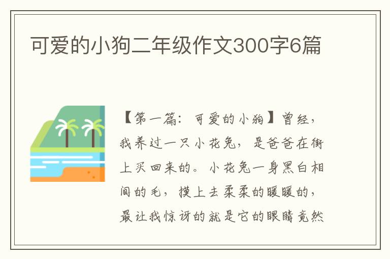 可爱的小狗二年级作文300字6篇