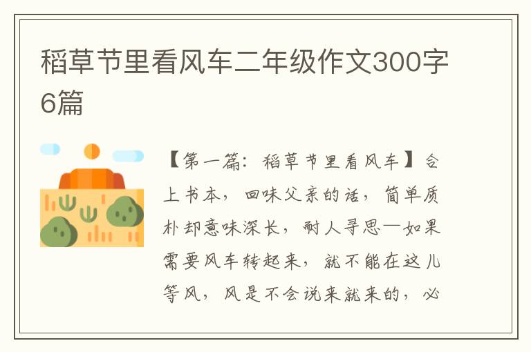 稻草节里看风车二年级作文300字6篇