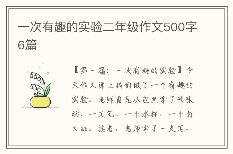 一次有趣的实验二年级作文500字6篇