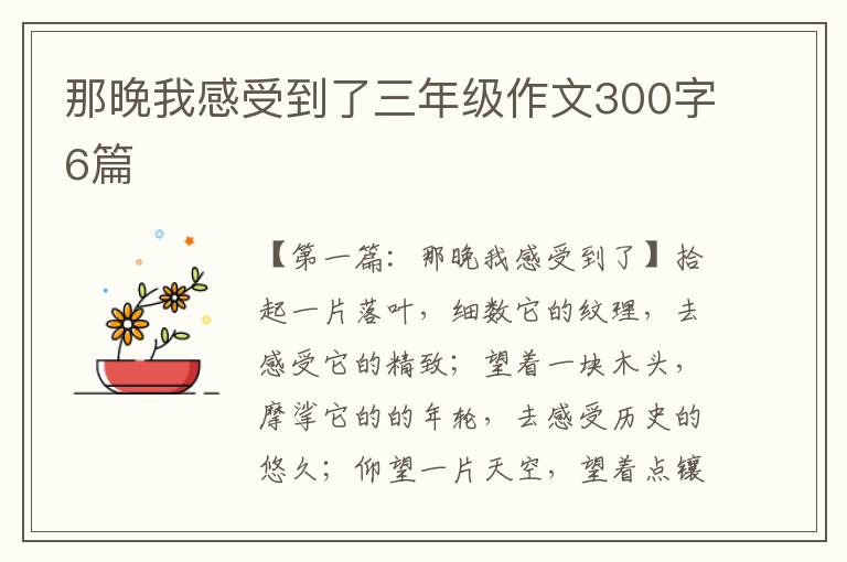 那晚我感受到了三年级作文300字6篇