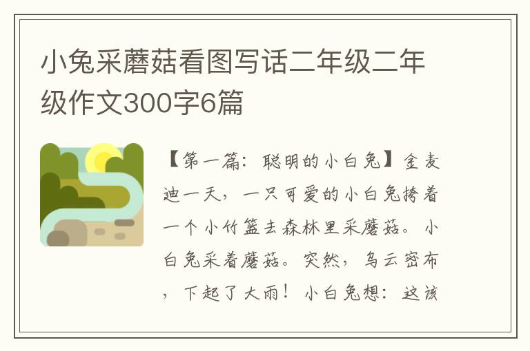 小兔采蘑菇看图写话二年级二年级作文300字6篇