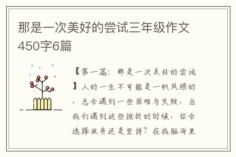 那是一次美好的尝试三年级作文450字6篇