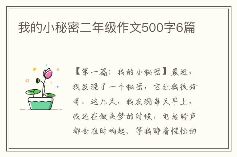 我的小秘密二年级作文500字6篇