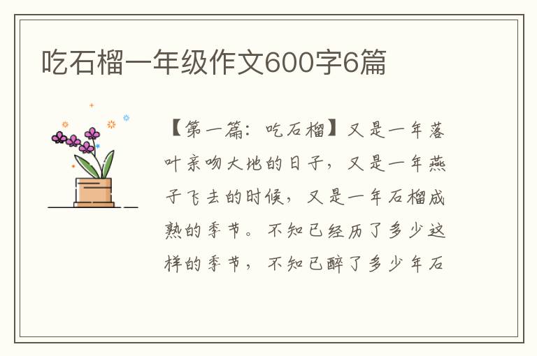 吃石榴一年级作文600字6篇