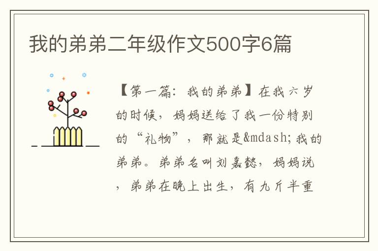 我的弟弟二年级作文500字6篇