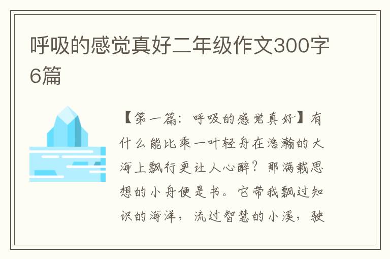 呼吸的感觉真好二年级作文300字6篇