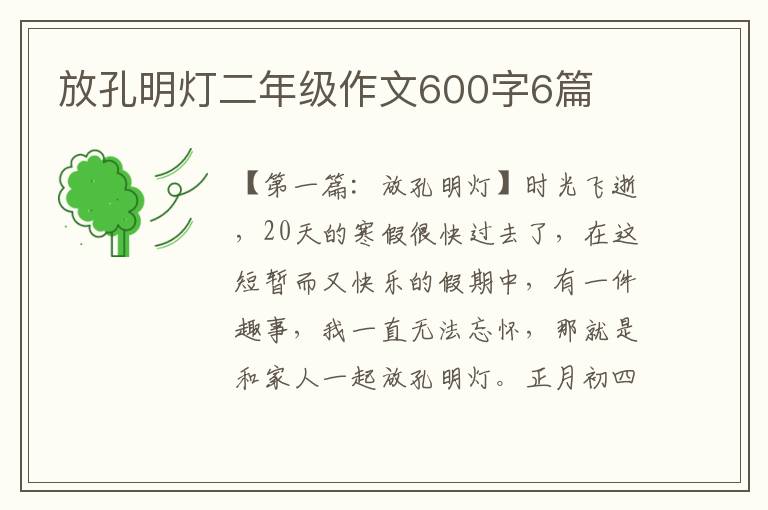 放孔明灯二年级作文600字6篇