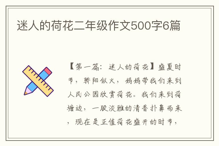 迷人的荷花二年级作文500字6篇