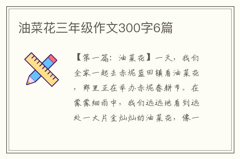 油菜花三年级作文300字6篇