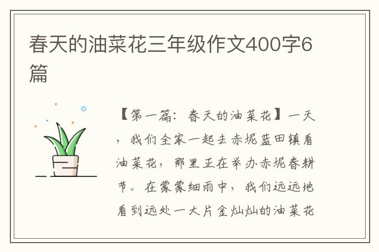 春天的油菜花三年级作文400字6篇