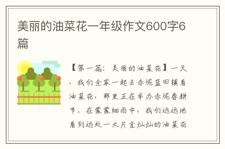 美丽的油菜花一年级作文600字6篇