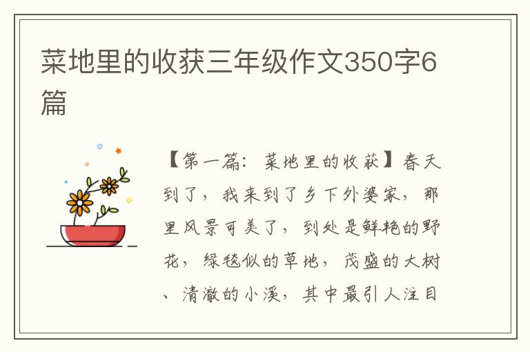 菜地里的收获三年级作文350字6篇