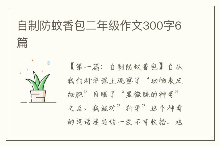 自制防蚊香包二年级作文300字6篇