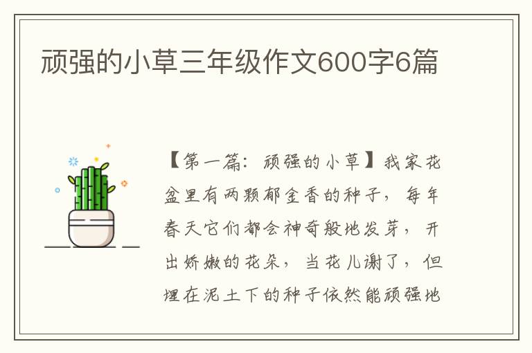 顽强的小草三年级作文600字6篇