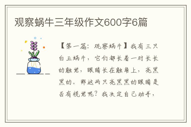 观察蜗牛三年级作文600字6篇