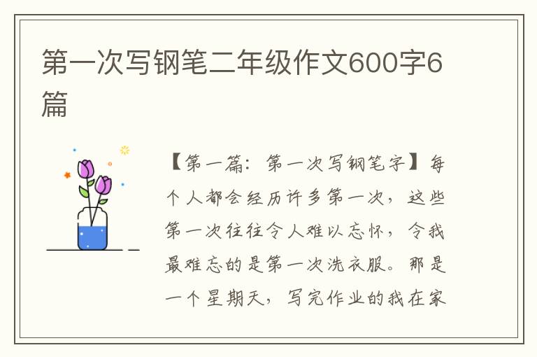 第一次写钢笔二年级作文600字6篇