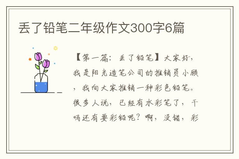 丢了铅笔二年级作文300字6篇