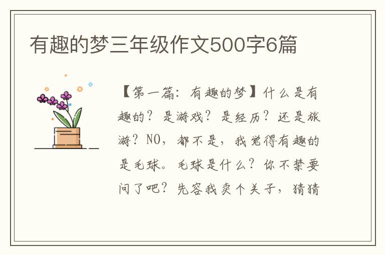 有趣的梦三年级作文500字6篇