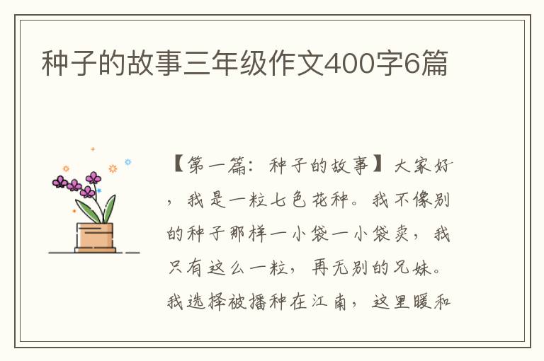 种子的故事三年级作文400字6篇