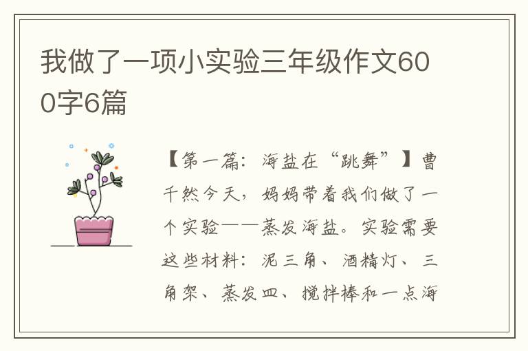 我做了一项小实验三年级作文600字6篇