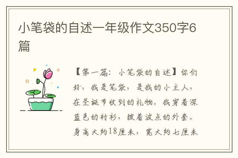 小笔袋的自述一年级作文350字6篇