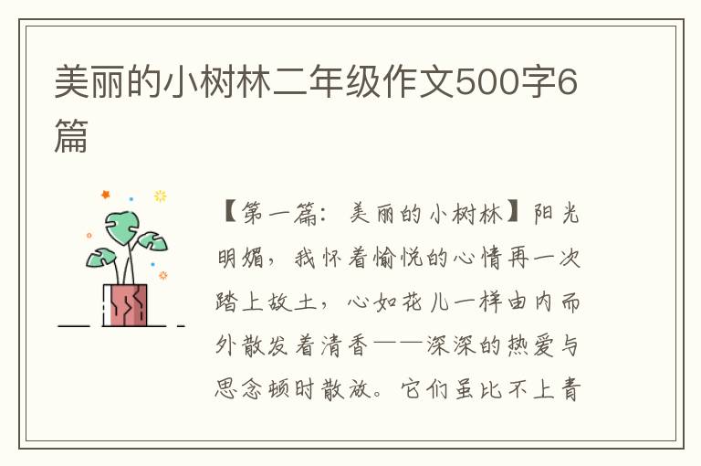 美丽的小树林二年级作文500字6篇