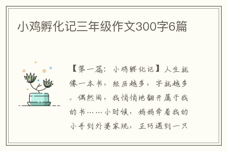 小鸡孵化记三年级作文300字6篇