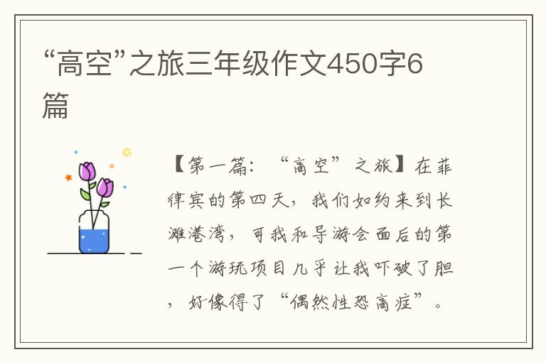 “高空”之旅三年级作文450字6篇