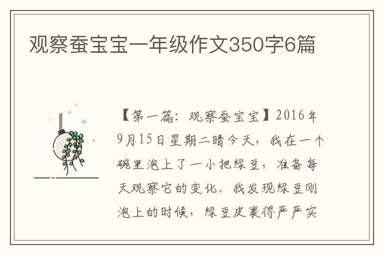 观察蚕宝宝一年级作文350字6篇