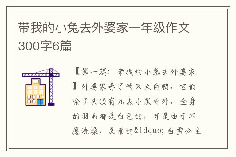 带我的小兔去外婆家一年级作文300字6篇