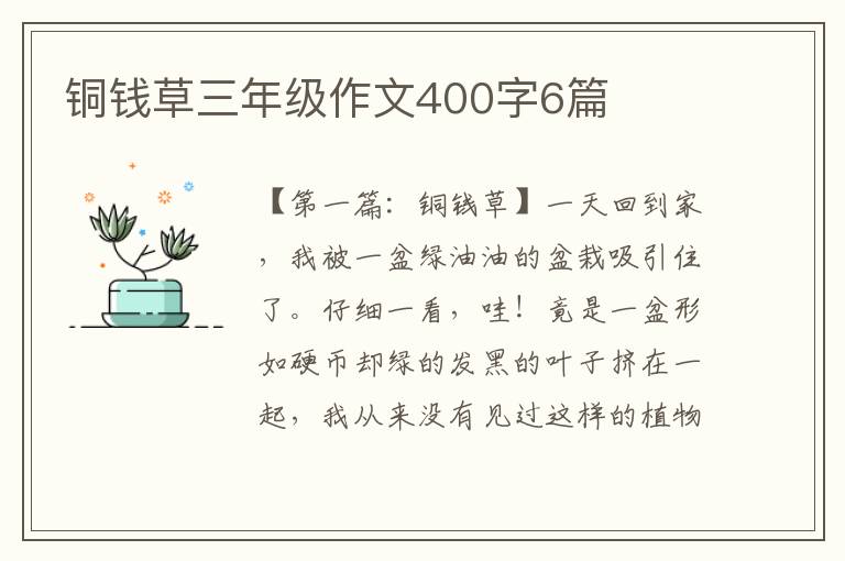 铜钱草三年级作文400字6篇