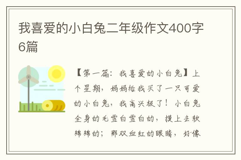 我喜爱的小白兔二年级作文400字6篇