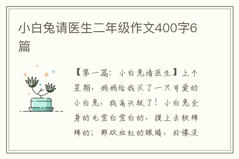 小白兔请医生二年级作文400字6篇