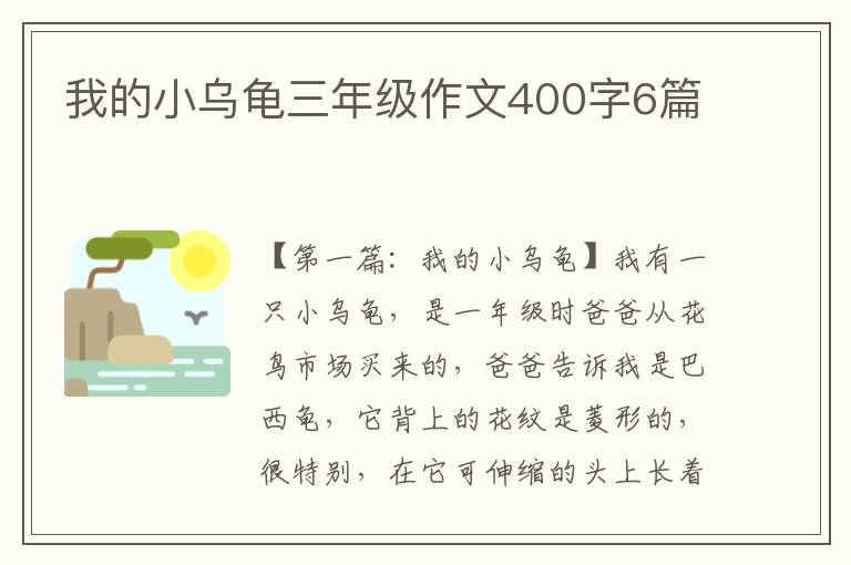 我的小乌龟三年级作文400字6篇