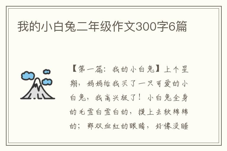 我的小白兔二年级作文300字6篇