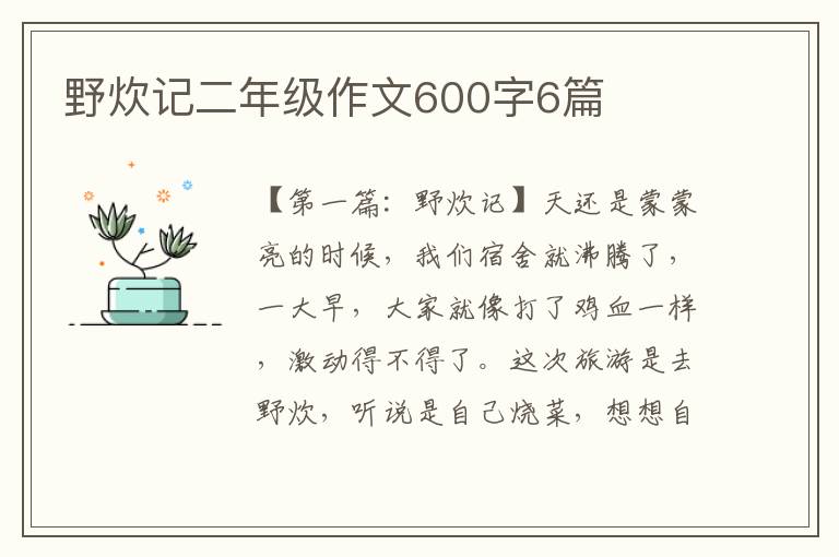 野炊记二年级作文600字6篇