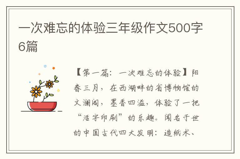 一次难忘的体验三年级作文500字6篇