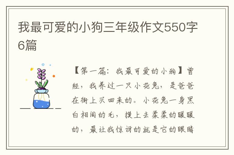 我最可爱的小狗三年级作文550字6篇