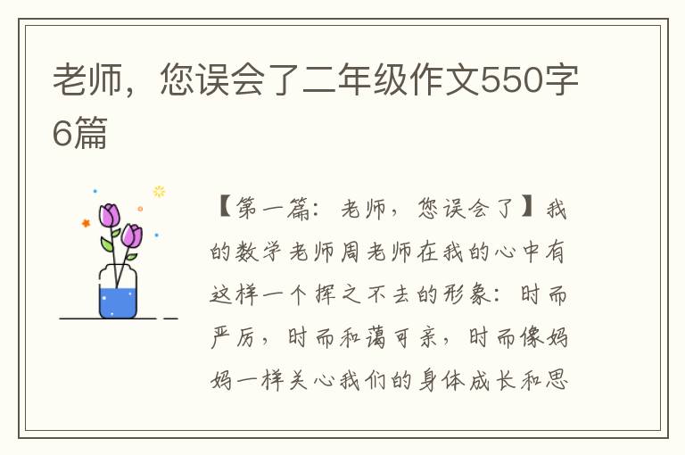 老师，您误会了二年级作文550字6篇